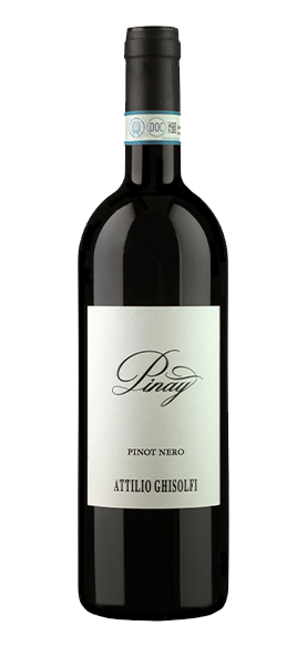 "Pinay" Pinot Nero Langhe DOC 2016