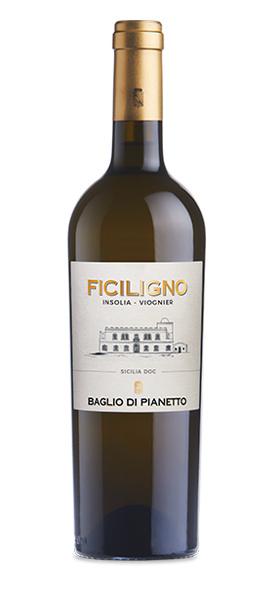 Vino biaco Ficiligno Inzolia-Viogner Sicilia